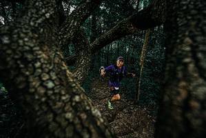 BIB: 
                            <button type="button" onclick="openModal(25684737)" class="btn btn-primary btn-sm float-right btn-popup" data-toggle="modal" data-target=".modal-high-quality">
                        <i class="fas fa-shopping-cart"></i> Add to Cart
                    </button>
                                            <button type="button" onclick="isThisMe(25684737, true)" class="btn btn-success btn-sm float-right btn-popup btn-isme hidden" data-toggle="tooltip" data-placement="bottom" title="นี่คือรูปของคุณใช่ไหม คลิกที่นี่เพื่อเอาเข้าอัลบั้ม">
                        <i class="fas fa-plus"></i> Add to album
                    </button>
                    <button type="button" onclick="isThisMe(25684737, false)" class="btn btn-warning btn-sm float-right btn-popup btn-isnotme hidden">
                        <i class="fas fa-ban"></i> Remove from album
                    </button>